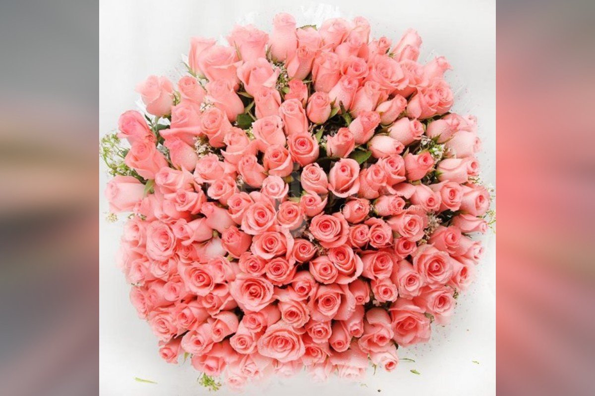 100 pink roses bouquet by cherishx
