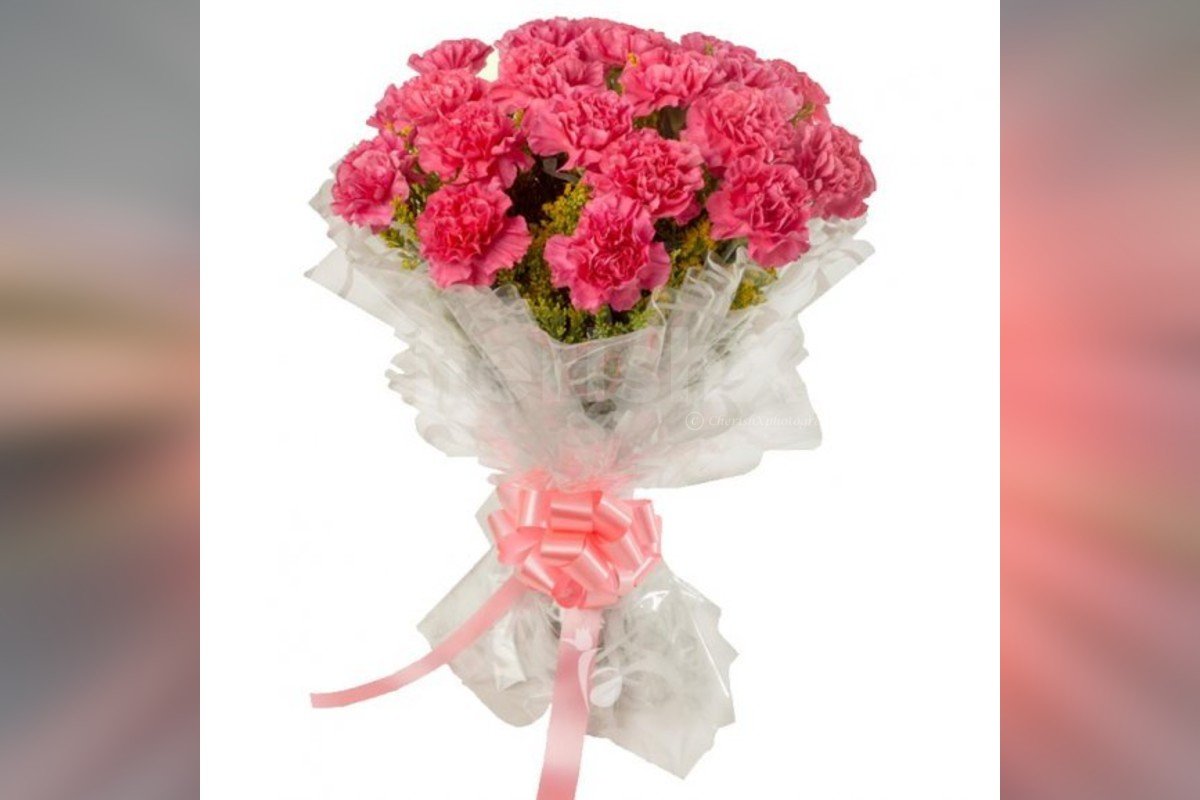 20 pink carnations bouquet