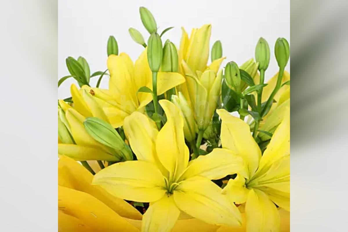 8 asiatic yellow lilies bouquet home delivery