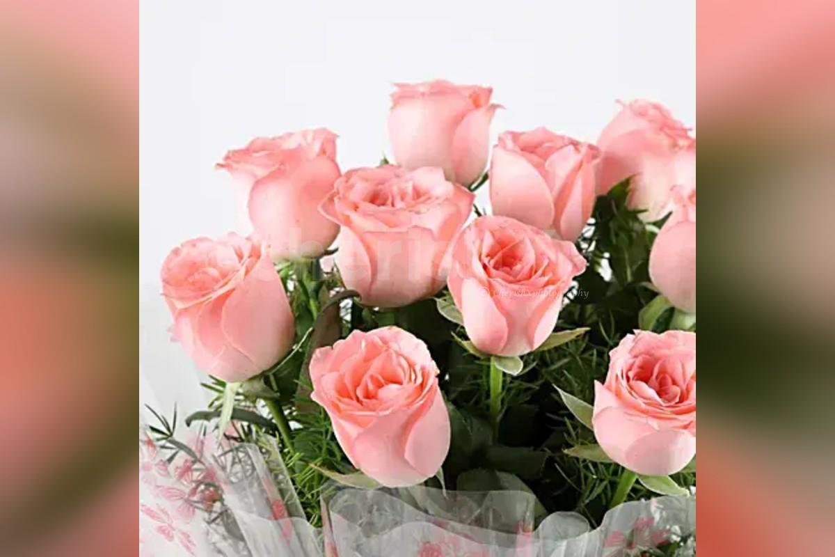 10 pink roses with pineapple cake (500 gms)
