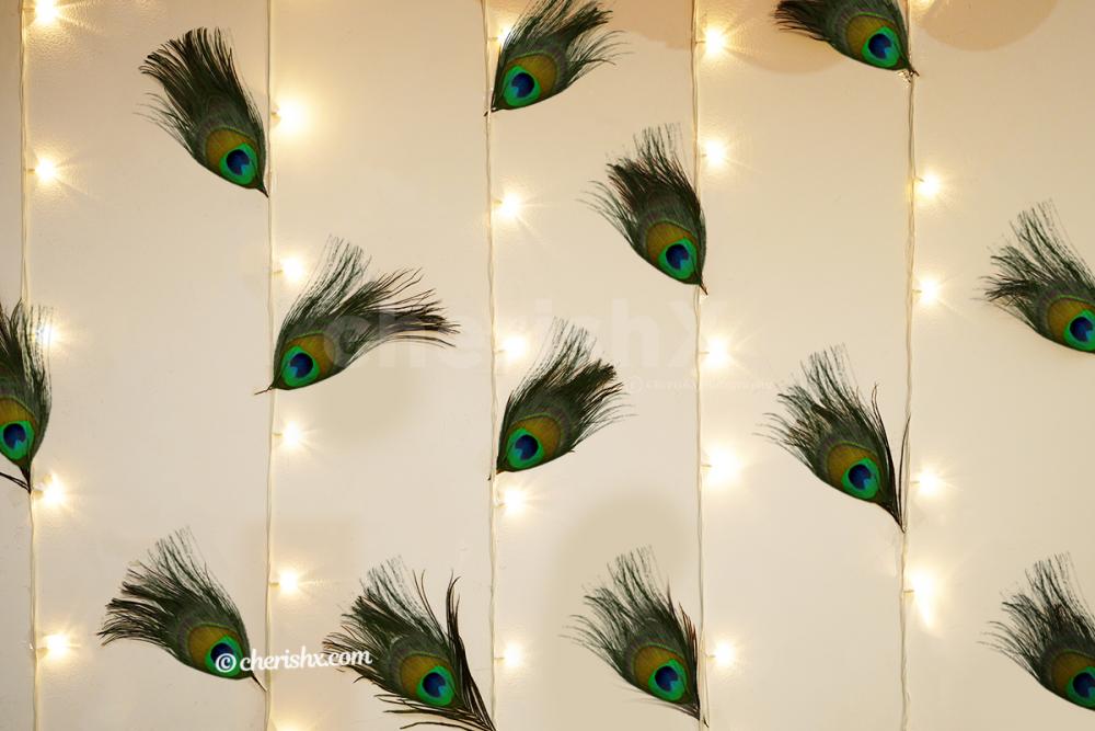 Peacock Feathers wall backdrop to add beauty to your Janmashtami decor!