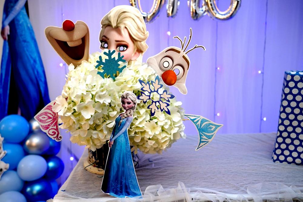 Book CherishX's Frozen Theme Decor and let your child have an amazing birthday party!