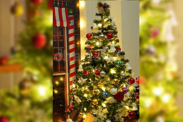 Lighten up your house with the stunning Christmas tree