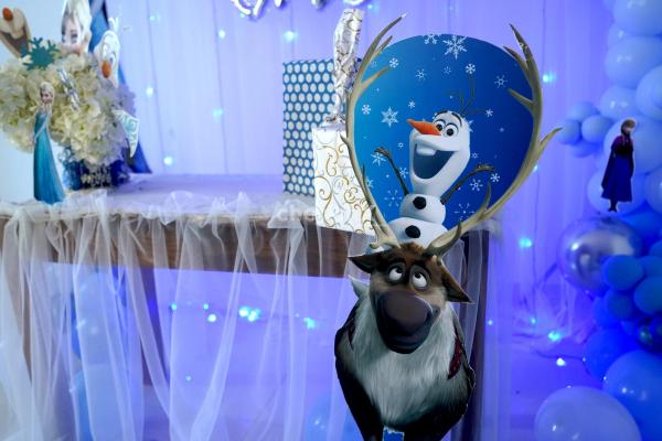 Disney's Frozen Themed Decoration includes character cut-outs and metallic and chrome balloons.