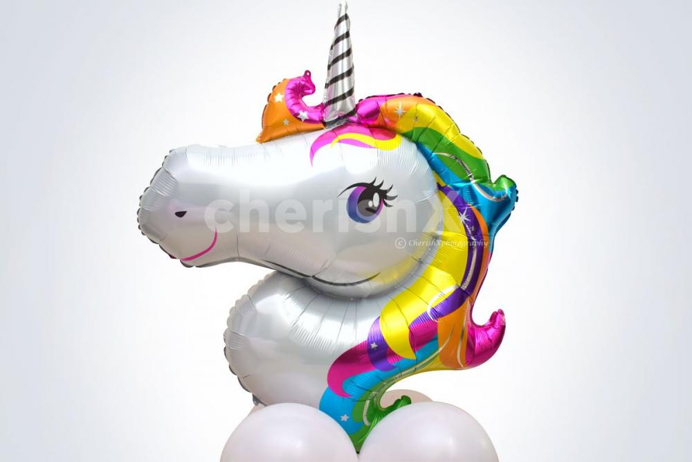 Unicorn Theme Birthday Decoration Service