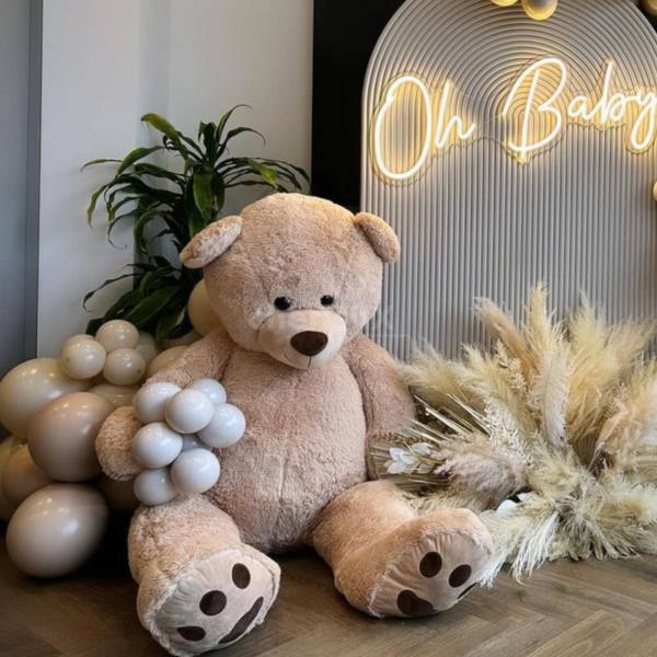 the space into a cozy haven, capturing the charm of a cuddly teddy bear with a contemporary twist.