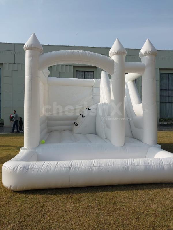 Pastel bouncy slide for kids birthday ideas indoor