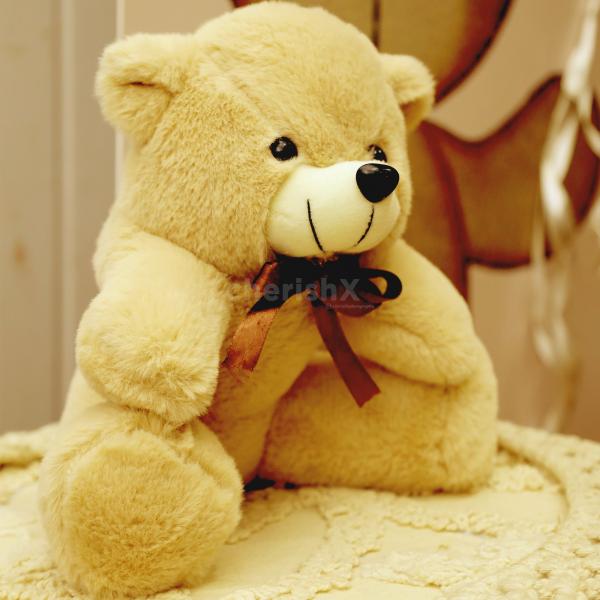 Teddy Bear Hugs Birthday Fiesta: Where Cuddly Charm Comes Alive