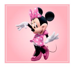 minnie mouse theme birthday decorations for girls
